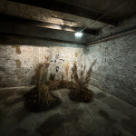 COLLABORATION- ERA JOURNAL EXHIBITION