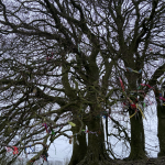 COLLABORATION- SOUND RESOURCES AND FORAGED ITEMS FOR EXHIBITION