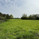 DORSET SOIL